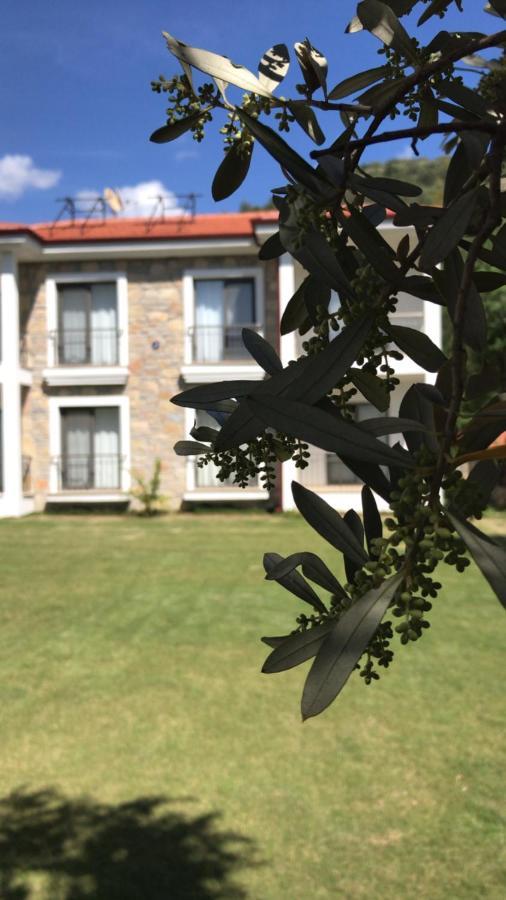 Oliva Casa Apart Hotel Datça Eksteriør bilde